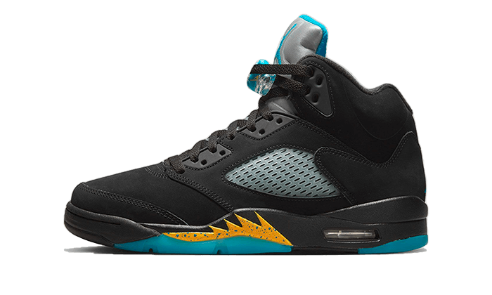 Air Jordan 5 Aqua All You Need, photo 1