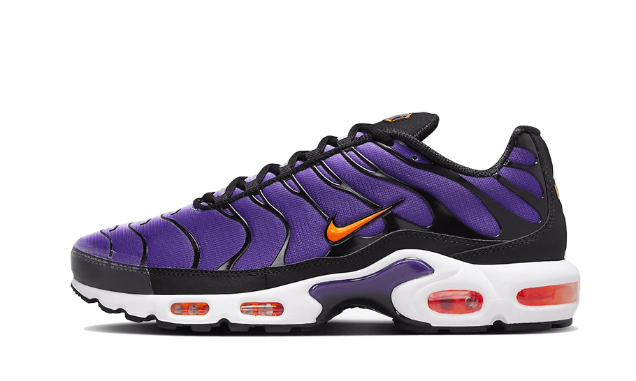 Air Max Plus Voltage Purple All You Need, photo 1