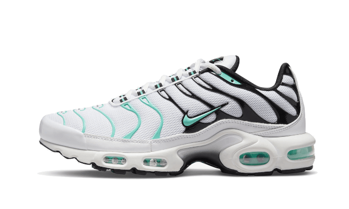 Air Max Plus atmos White Hyper Jade All You Need, photo 1
