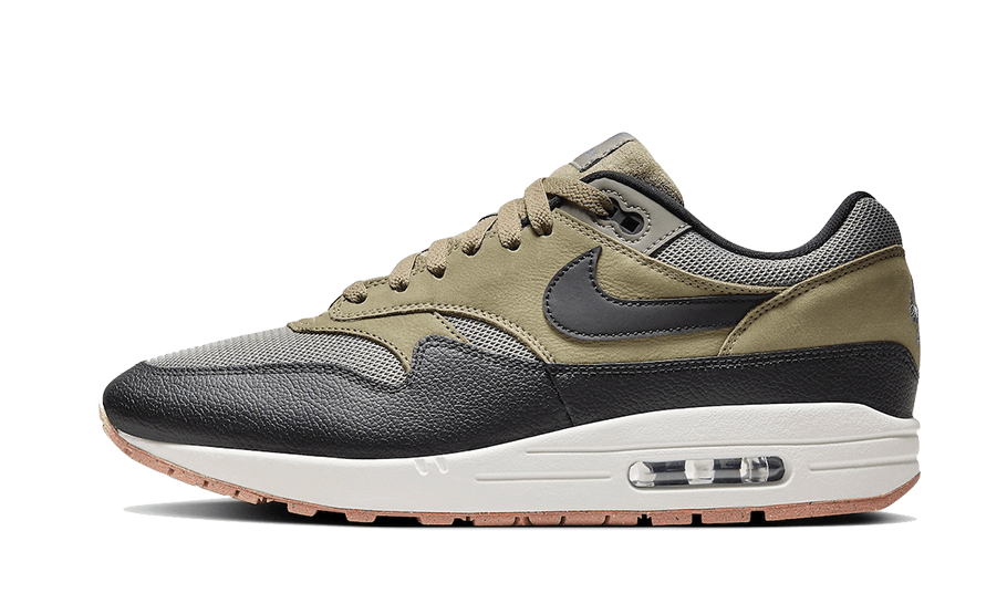 Air Max 1 Dark Stucco All You Need, photo 1