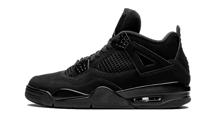Air Jordan 4 Black Cat All You Need, photo 1