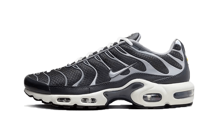 Air Max Plus SE Greyscale Cool Grey All You Need, photo 1