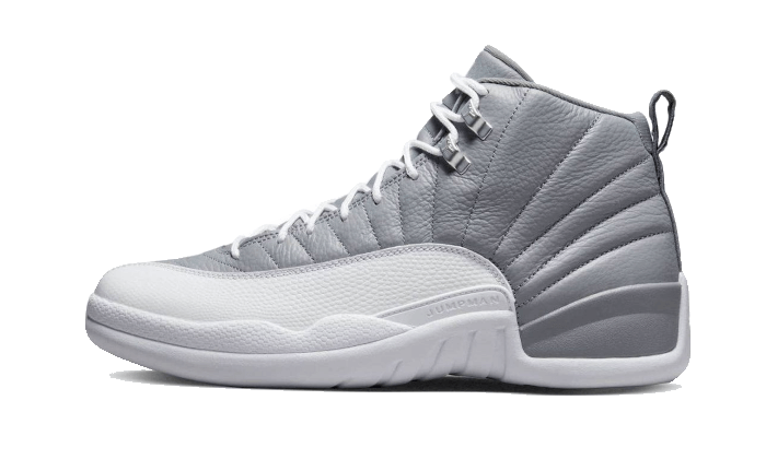 Air Jordan 12 Stealth All You Need, photo 1