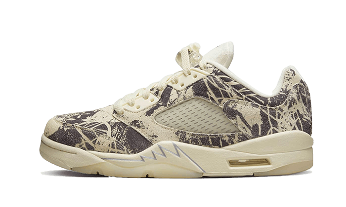 Air Jordan 5 Low Expression All You Need, photo 1