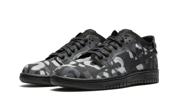 Dunk Low Comme des Garçons Print All You Need, photo 2