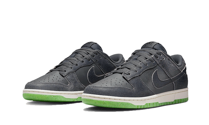 Dunk Low Swoosh Shadow Iron Grey All You Need, photo 2
