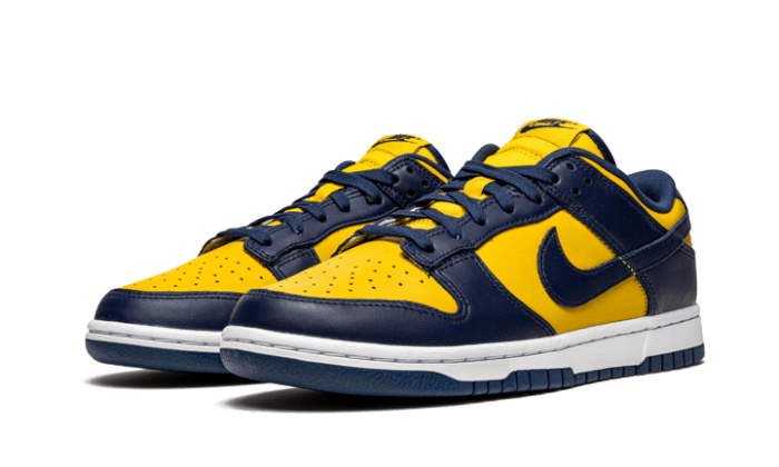 Dunk Low Michigan All You Need, photo 2