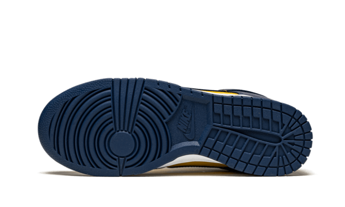 Dunk Low Michigan All You Need, photo 4