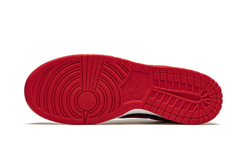 Dunk Low Samba (2020) All You Need, photo 4