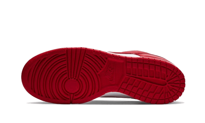 Dunk Low University Red All You Need, photo 3