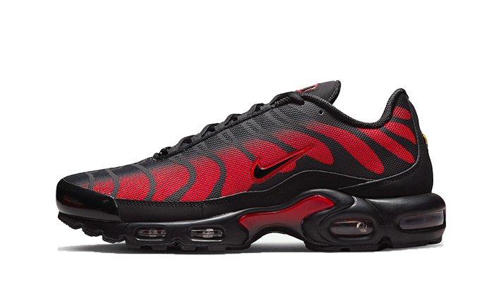 Air Max Plus Bred Reflective All You Need, photo 1