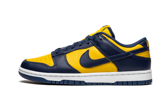 Dunk Low Michigan All You Need, photo 1