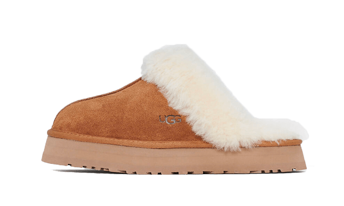 Disquette Slipper Chestnut All You Need, photo 1