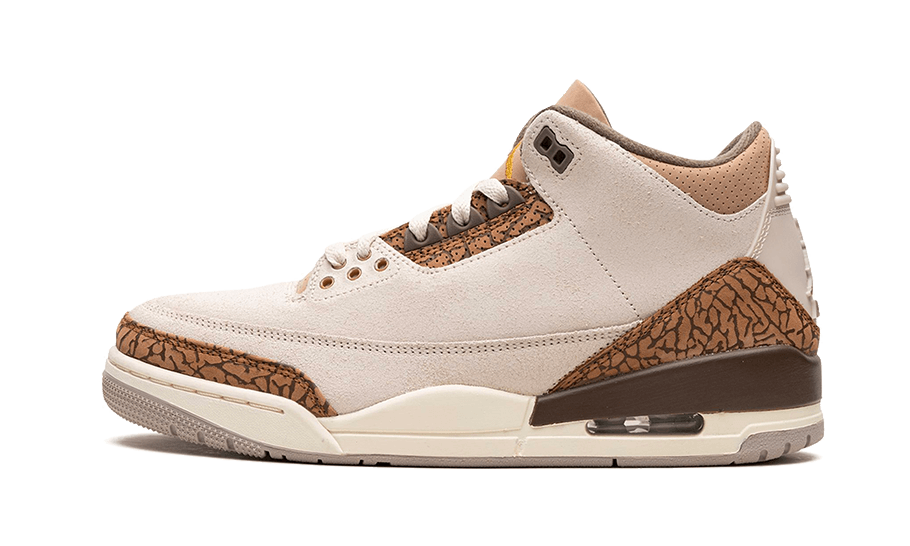 Air Jordan 3 Palomino All You Need, photo 1