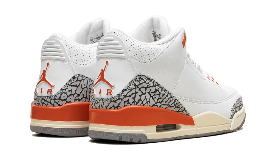 Air Jordan 3 Georgia Peach All You Need, photo 3
