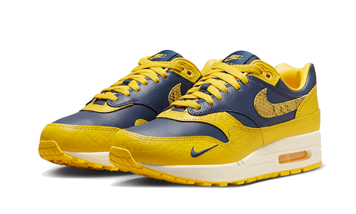 Air Max 1 CO.JP Michigan All You Need, photo 2