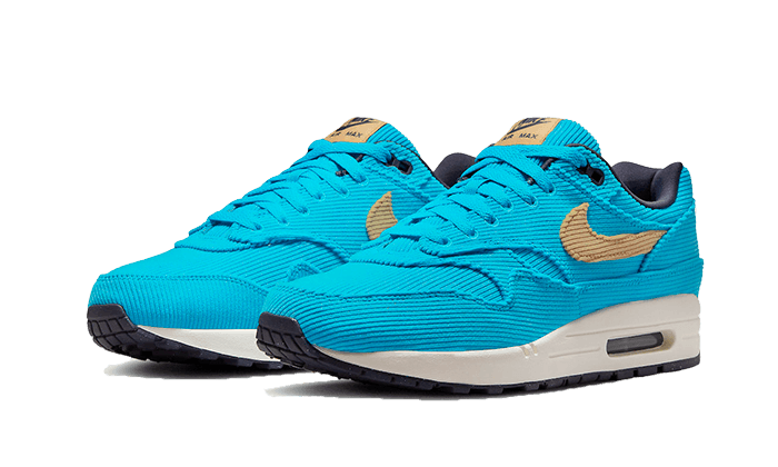 Air Max 1 Corduroy Baltic Blue All You Need, photo 2