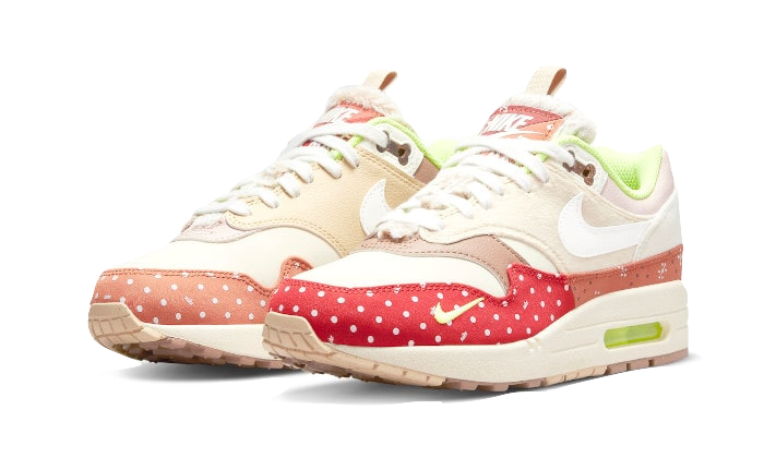 Air Max 1 PRM Best Friend All You Need, photo 2