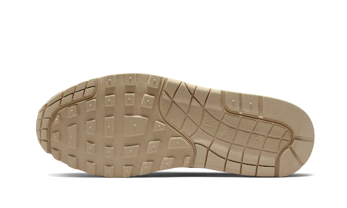 Air Max 1 Safari Cobblestone All You Need, photo 3