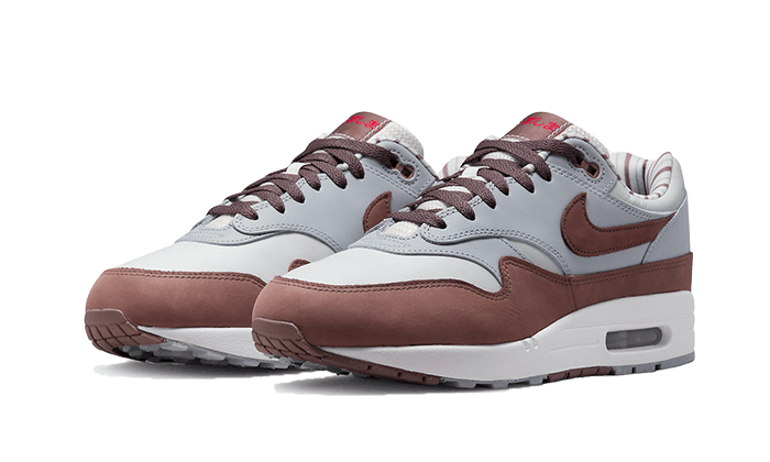 Air Max 1 PRM Shima Shima All You Need, photo 2