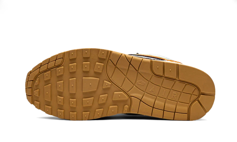 Air Max 1 SP Concepts Heavy All You Need, photo 4