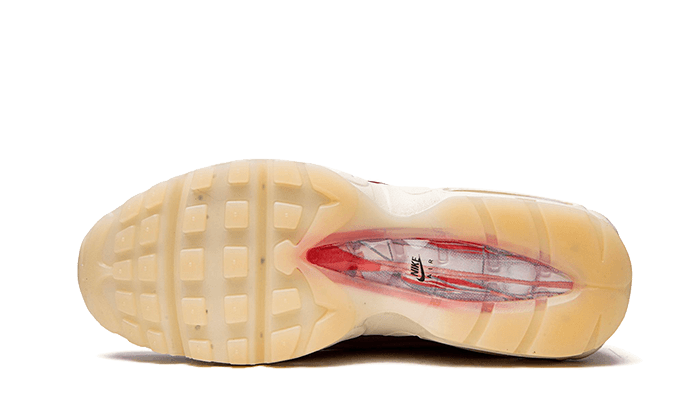 Air Max 95 Anatomy of Air All You Need, photo 4