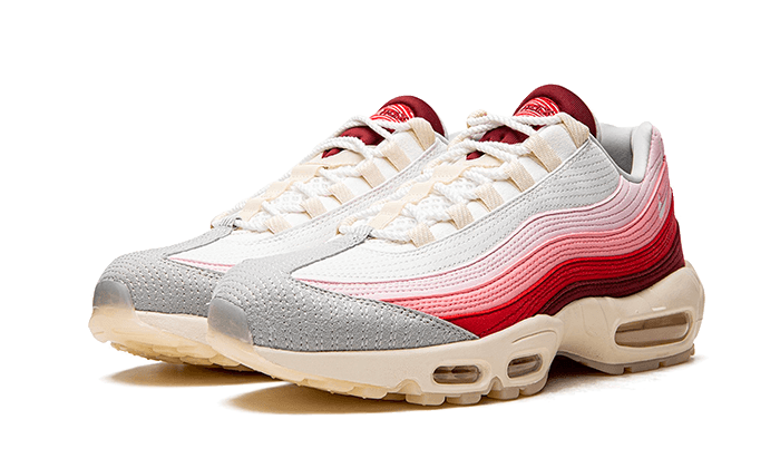 Air Max 95 Anatomy of Air All You Need, photo 2