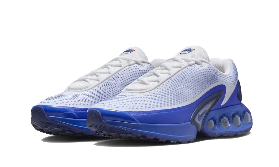 Air Max DN Platinum Royal Blue All You Need, photo 2