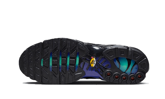Air Max Plus Black Blue Red All You Need, photo 4