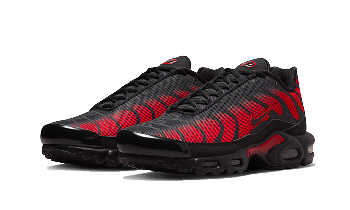 Air Max Plus Bred Reflective All You Need, photo 2