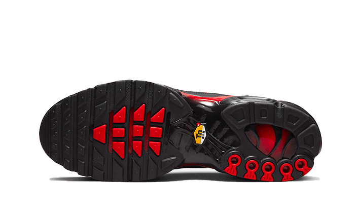 Air Max Plus Bred Reflective All You Need, photo 3