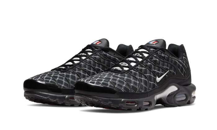 Air Max Plus France All You Need, photo 2