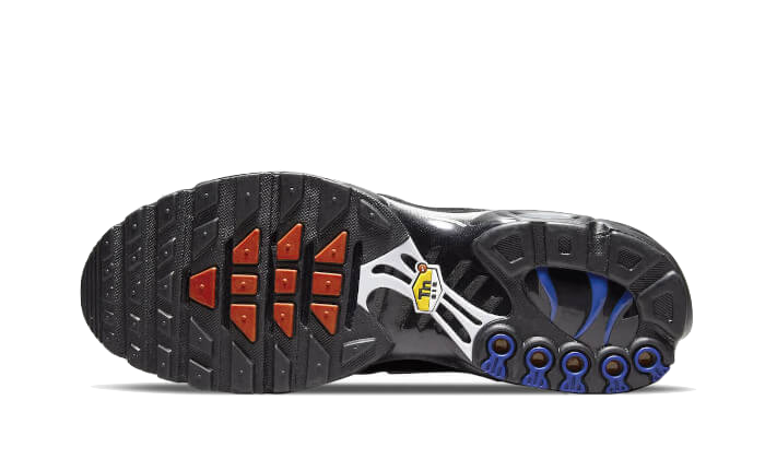 Air Max Plus France All You Need, photo 3