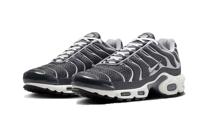 Air Max Plus SE Greyscale Cool Grey All You Need, photo 2