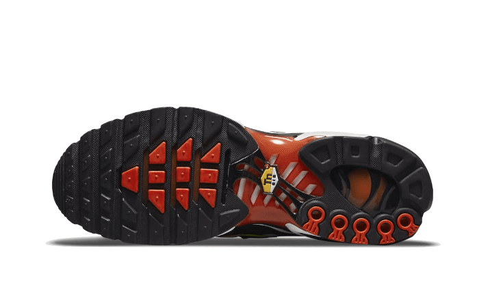 Air Max Plus Sunset Gradient All You Need, photo 3