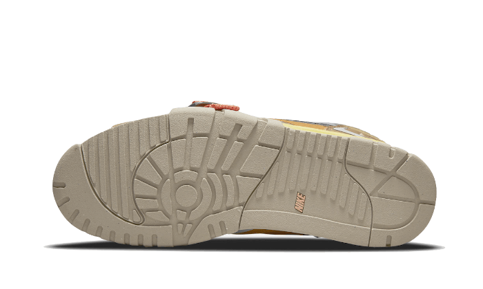 Air Trainer 1 SP Coriander All You Need, photo 3