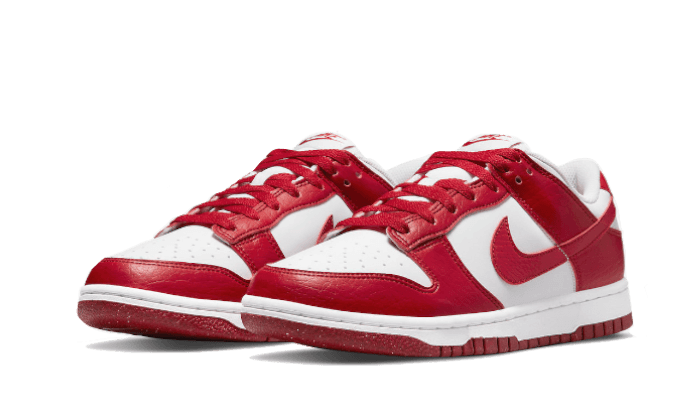 Dunk Low Next Nature Gym Red All You Need, photo 2