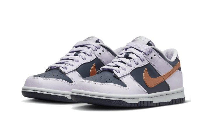 Dunk Low SE Copper Swoosh All You Need, photo 2
