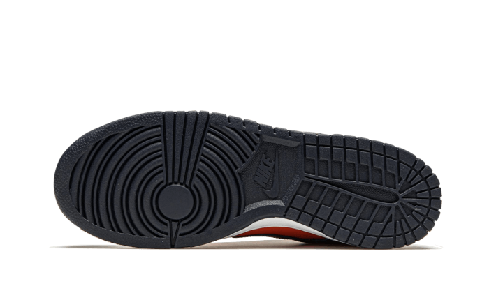 Dunk Low SP Champ Colors All You Need, photo 4