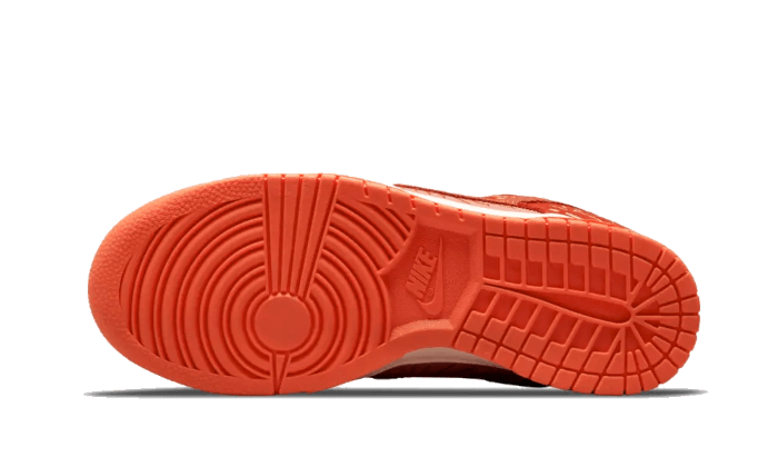 Dunk Low Winter Solstice All You Need, photo 3