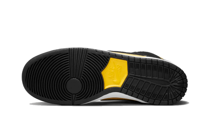 SB Dunk High Pro Maize and Black All You Need, photo 3