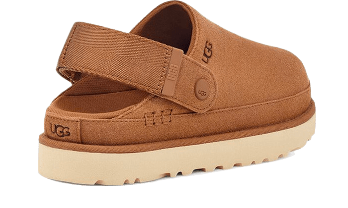 Goldenstar Clog Chestnut All You Need, photo 2