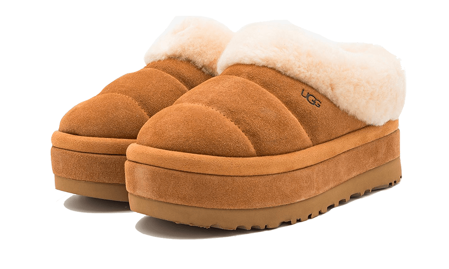 Tazzlita Chestnut (Enfant) All You Need, photo 2