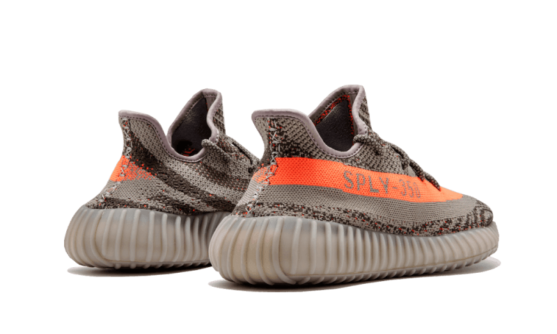 Yeezy Boost 350 V2 Beluga All You Need, photo 3