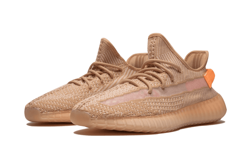 Yeezy Boost 350 V2 Clay All You Need, photo 2