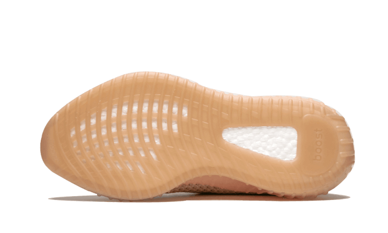 Yeezy Boost 350 V2 Clay All You Need, photo 4