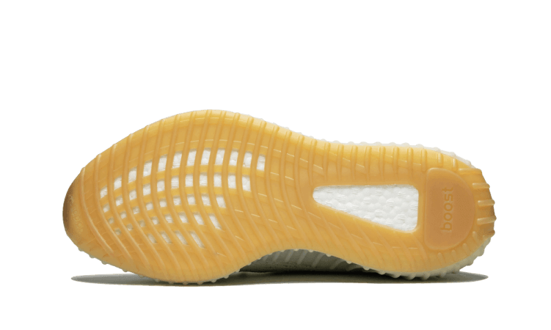 Yeezy Boost 350 V2 Sesame All You Need, photo 4