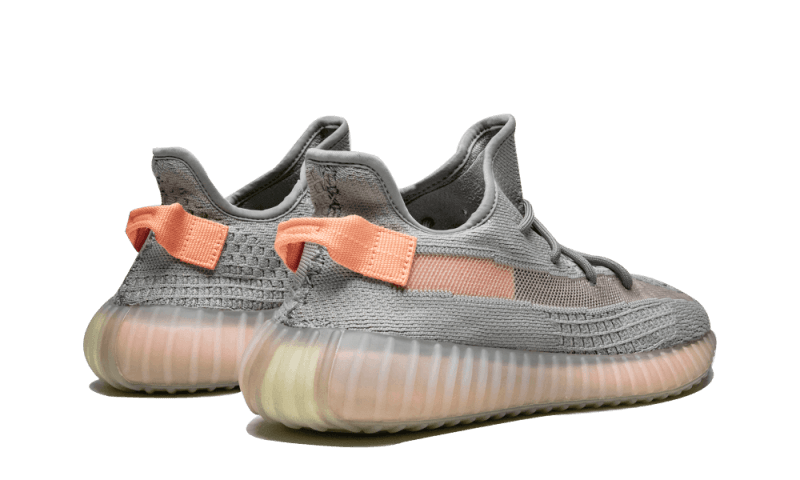 Yeezy Boost 350 V2 True Form All You Need, photo 3