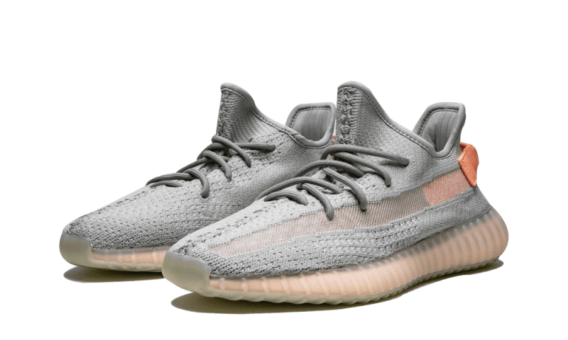 Yeezy Boost 350 V2 True Form All You Need, photo 2