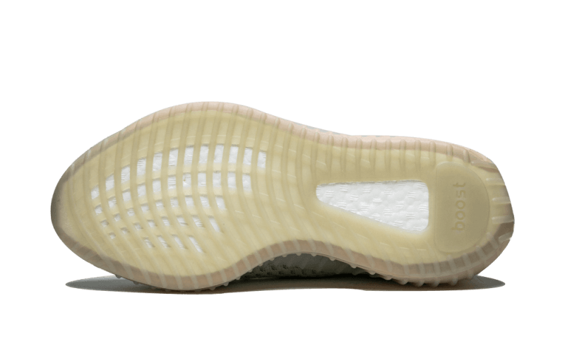 Yeezy Boost 350 V2 True Form All You Need, photo 4